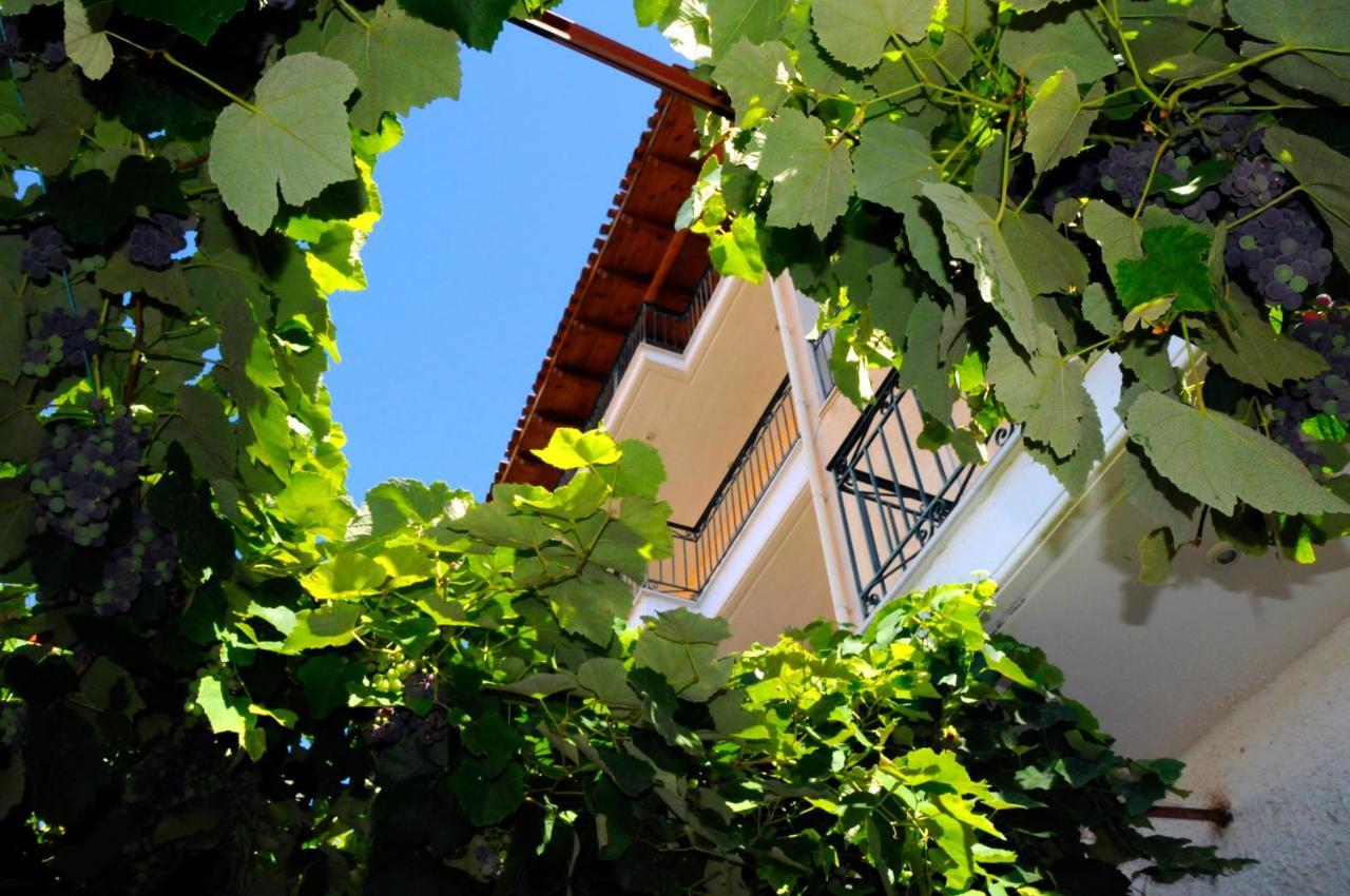 Boutique Hotel Parnassia Arachova Exteriör bild